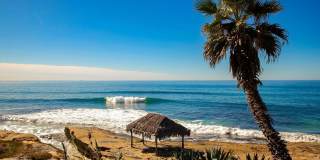 229 Bonair St Gallery 51