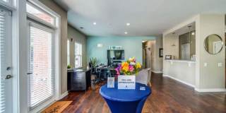 Vyne On Central Gallery 3