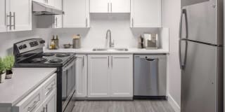 Avana Evergreen Gallery 17