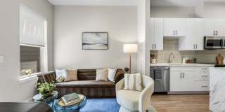 Alta French Hill Gallery 9