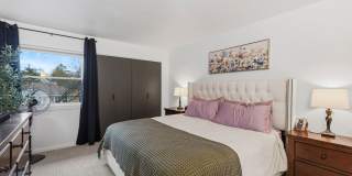 Honey Lane Gallery 14