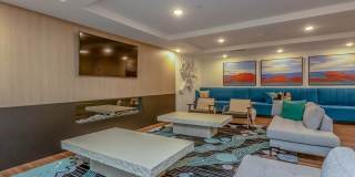 Vineyards Gallery 13