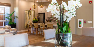 The Village at Vintage Ranch Gallery 6