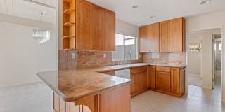 Stunning Mid-Century Modern 4 BR 3 BA with Bonus Room and Office Gallery 20