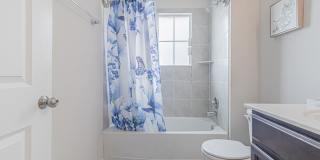 7019 CAPELLA CV Gallery 37