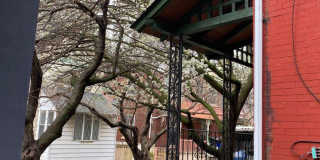3215 SUMMER Street Gallery 71