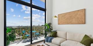 The Tropic Gallery 31