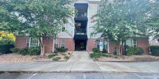 Avera - Ascot Avera - Ascot Gallery 1
