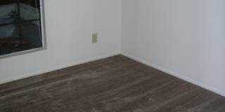 8645 N Auriga Way Gallery 14