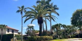 1728 Shoreside Circle Gallery 52