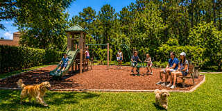 Gorgeous  Forest View, Wood Floors  1/1 condo for RENT @The Crest close to UCF. Gallery 16
