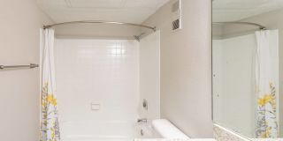 The Iris The Iris Gallery 5