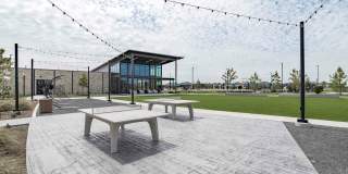 Summerwell Sunterra Gallery 13