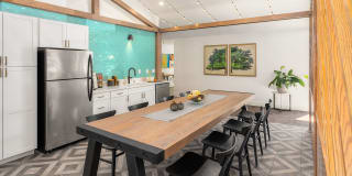 Canopy Gallery 23
