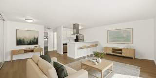 Driftwood Gallery 17