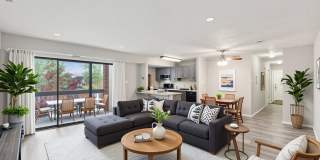 Grove at Alban Gallery 10