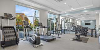 Alto Fairfield Metro Gallery 26