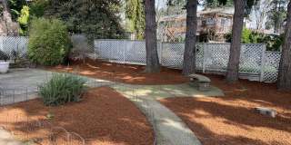 Beautiful One-Level Home with Sunroom, Vaulted Ceilings & Multiple Living Areas Gallery 32