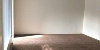 Maywood Terrace Gallery 4