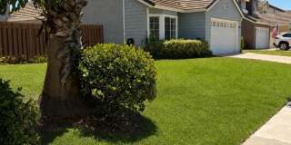 2896 Thicket Place Gallery 1