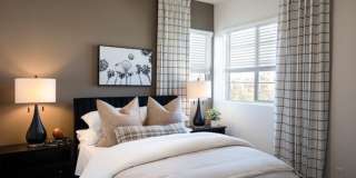 NEWLY CONSTRUCTED/ PVT YARD / NEAR OLD TOWN - SINGLE FAMILY Gallery 21