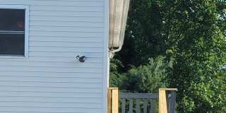 3806 28TH Street unit: Above Garage Apt Gallery 1