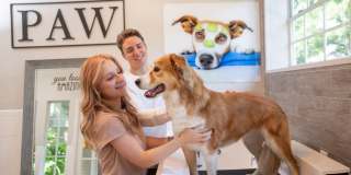 Golf Brook Apartments Gallery 13