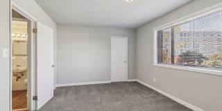 Swift at Riverdale Park Gallery 51