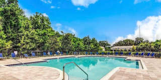 3542 LONE TREE Lane Gallery 41