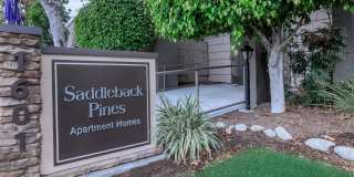 Saddleback Pines Gallery 6