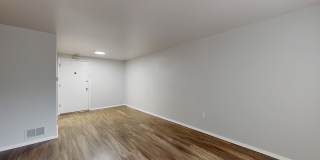 South Majestic Gallery 13