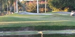 5855 NORTHPOINTE LN #5855 BOYNTON BEACH, FL 33437 Gallery 1