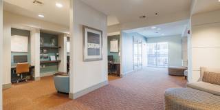 Domain at Kirby Gallery 56