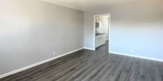 Summer Woods Gallery 14