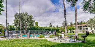 Top Floor Unit - Balcony - Elevator Access - Community Pool & Tennis Court Gallery 36