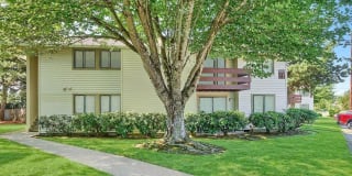 Foothills Gallery 22