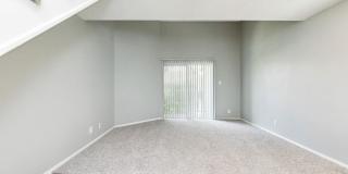 Stonehill Gallery 46