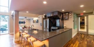 The National Gallery 13