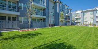 Proximo at Pena Station Gallery 14