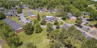 Allandale Falls Gallery 15