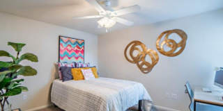 University Village Gallery 7