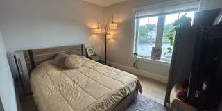 No Broker Fee | Bright 1 Bed in Brighton | Available 9/1 Gallery 5