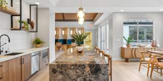 Sofi Ocean Hills Gallery 29