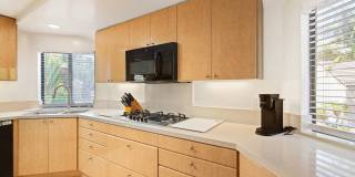 2452 Azure Coast Dr Gallery 19