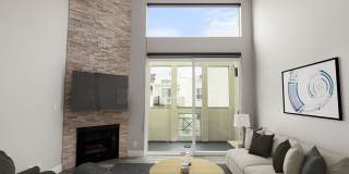 Palms Court Gallery 1