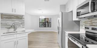 3912 ENGLISH COLONY Drive S Gallery 9