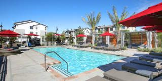 The Strand Gallery 20