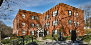 Walnut Court Gallery 11