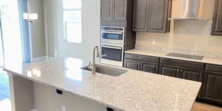 Amazing 5 bedrooms/4 full baths brand New SMART home in beautiful new Tampa community! Gallery 6