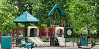 Vanguard Heights Gallery 36